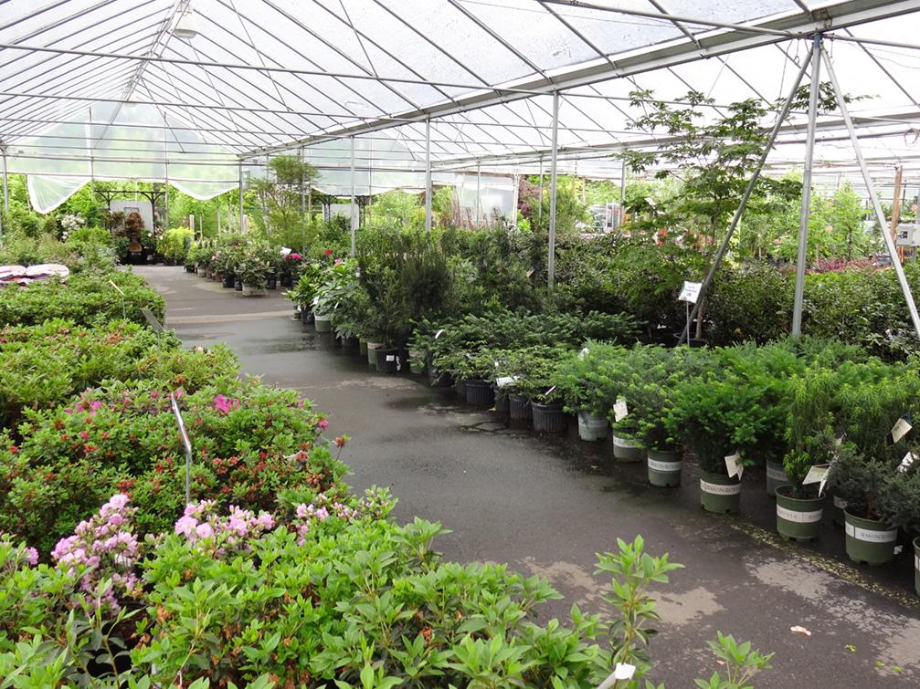 Pike Nurseries | 2475 Towne Lake Pkwy, Woodstock, GA 30189 | Phone: (770) 926-3252