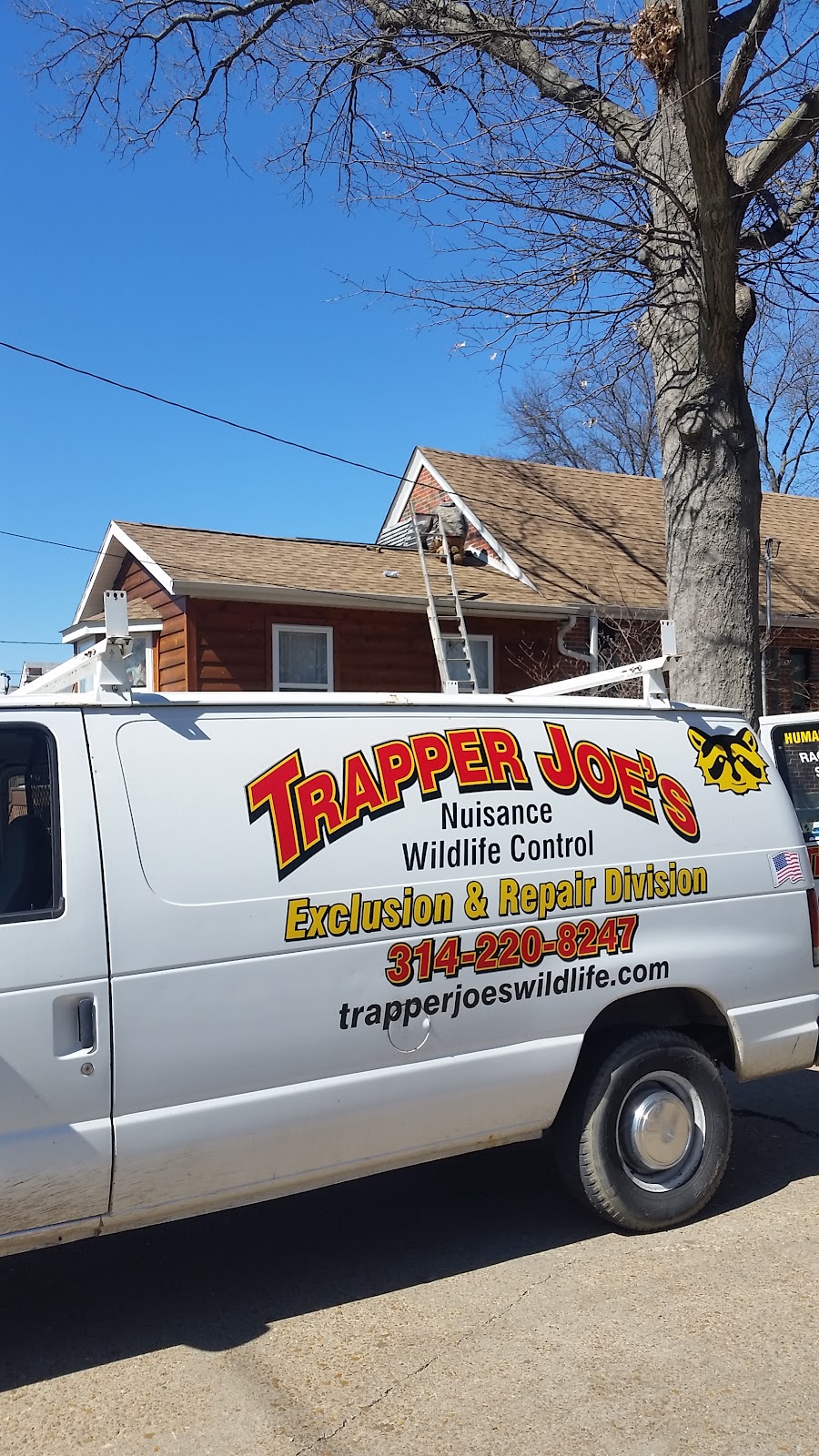 Trapper Joes Nuisance Wildlife Control | 7663 Hillsboro-House Springs Rd, Hillsboro, MO 63050 | Phone: (314) 220-8247