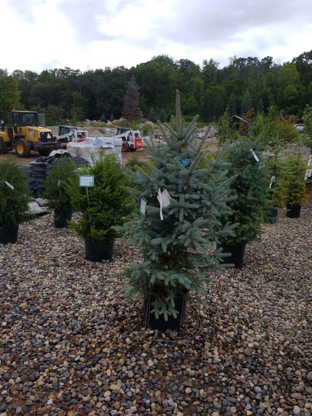 Brookside Garden Center | 850 Flying Cloud Dr., Chaska, MN 55318, USA | Phone: (952) 233-4004