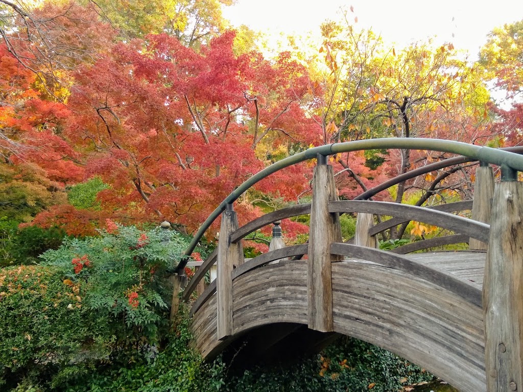 Japanese Garden | 3220 Botanic Garden Blvd, Fort Worth, TX 76107, USA | Phone: (817) 463-4160