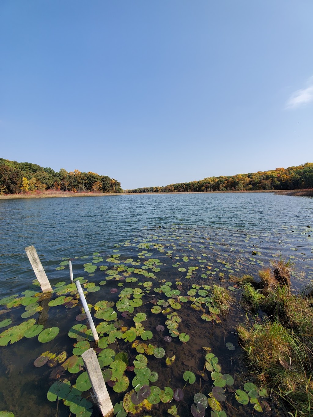 Wing Haven - ACRES Land Trust | 180 W 400 N, Angola, IN 46703, USA | Phone: (260) 637-2273