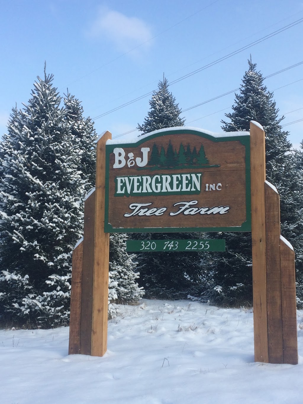 B&J Evergreen | 12946 47th St SE, Clear Lake, MN 55319, USA | Phone: (320) 743-2255