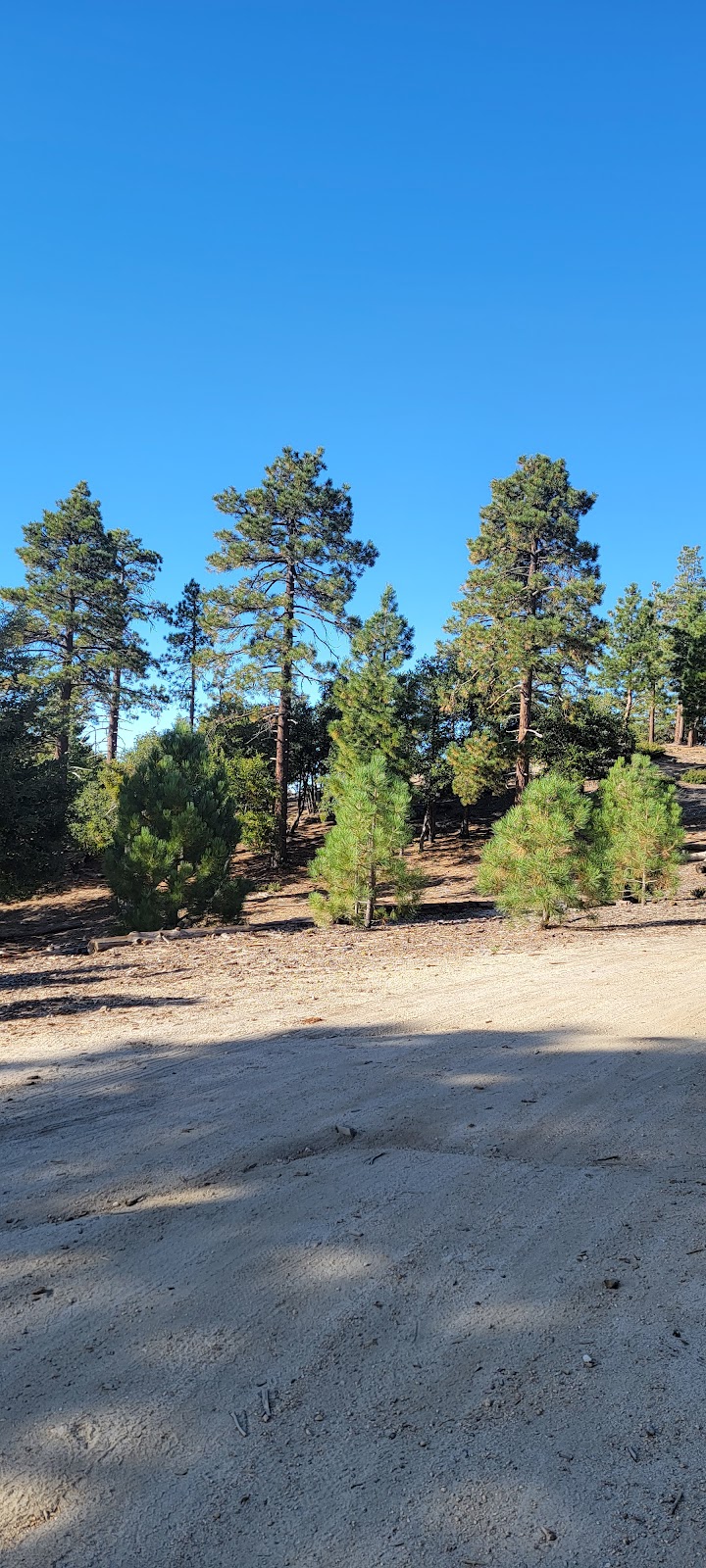 San Jacinto Ranger Station | 54270 Pine Crest Ave, Idyllwild-Pine Cove, CA 92549, USA | Phone: (909) 382-2921