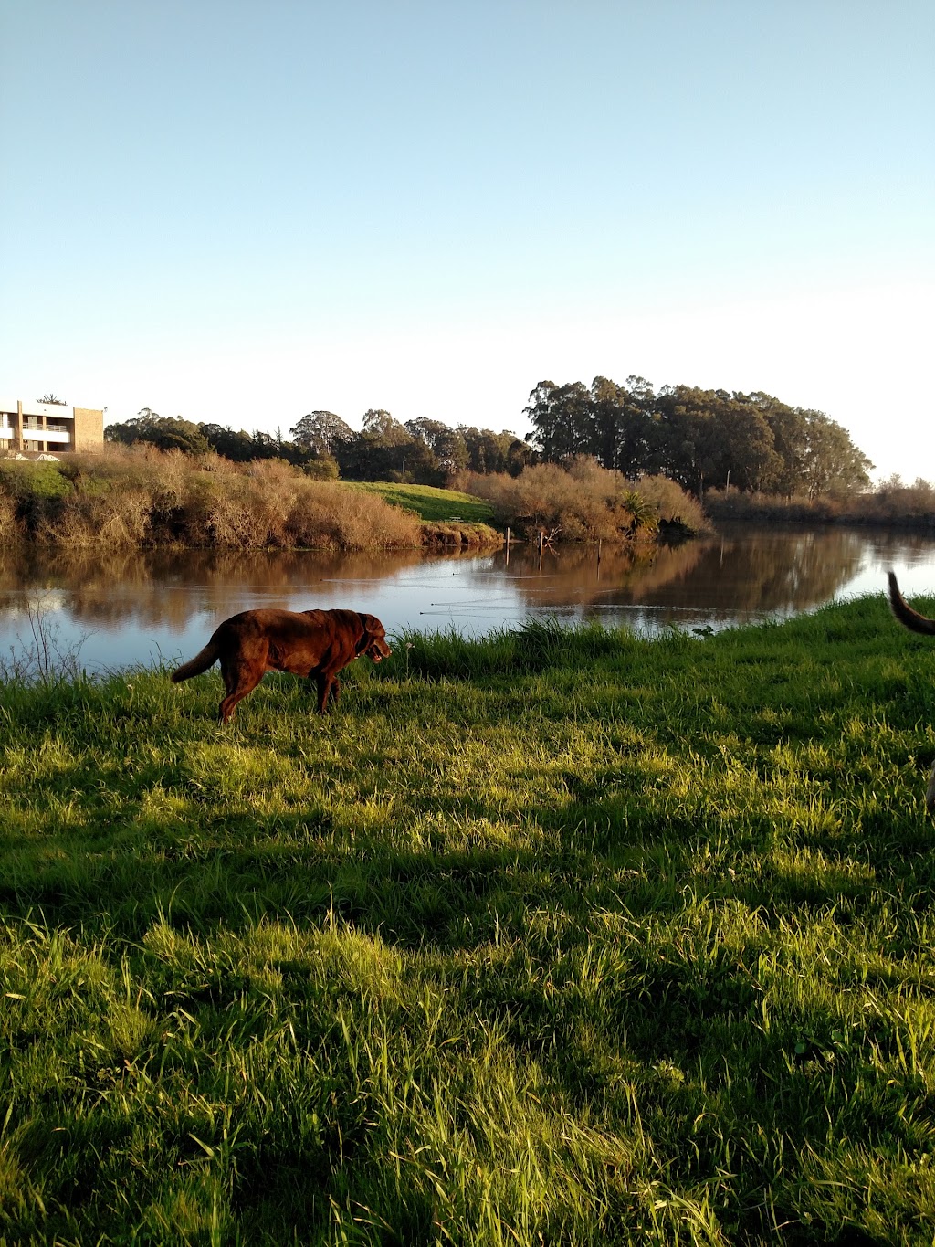 Antonelli Pond | Antonelli Pond, Santa Cruz, CA 95060, USA | Phone: (831) 429-6116