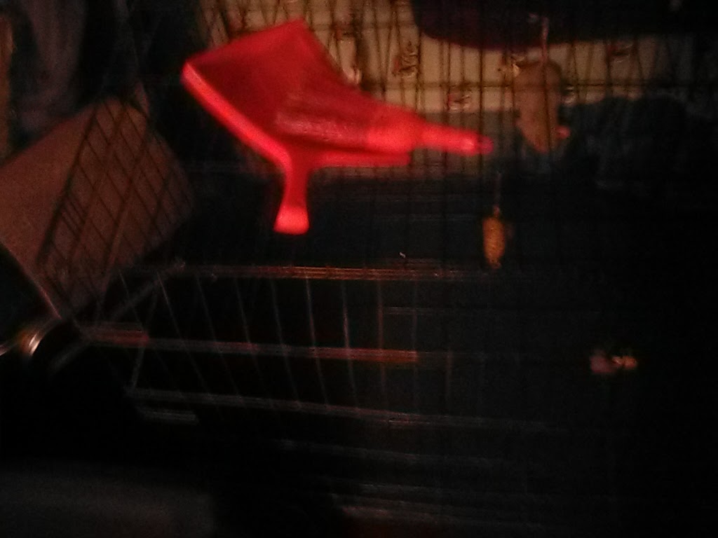 Family Cuts & More | 8343 N Wayne Rd, Westland, MI 48185, USA | Phone: (248) 910-2017 Family Cuts & More | 8343 N Wayne Rd, Westland, MI 48185, USA | Phone: (248) 910-2017