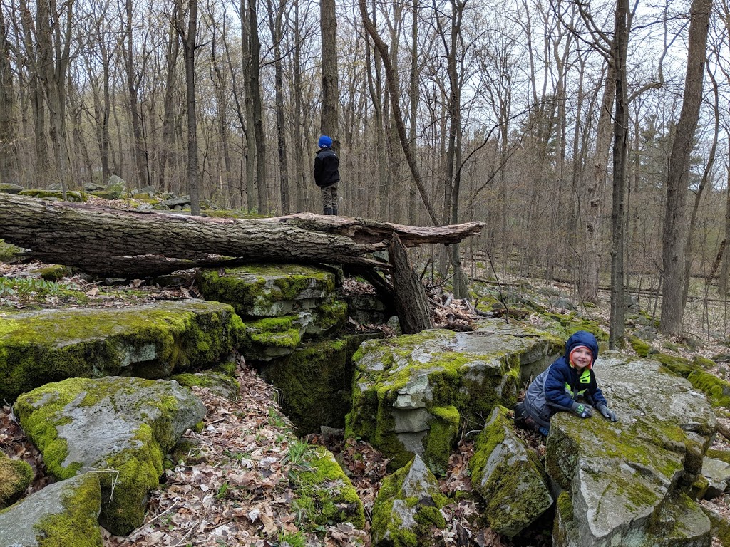 Camp Stone Haven for Boy Scouts | 4670 Albright Rd, Ransomville, NY 14131, USA | Phone: (716) 731-5959