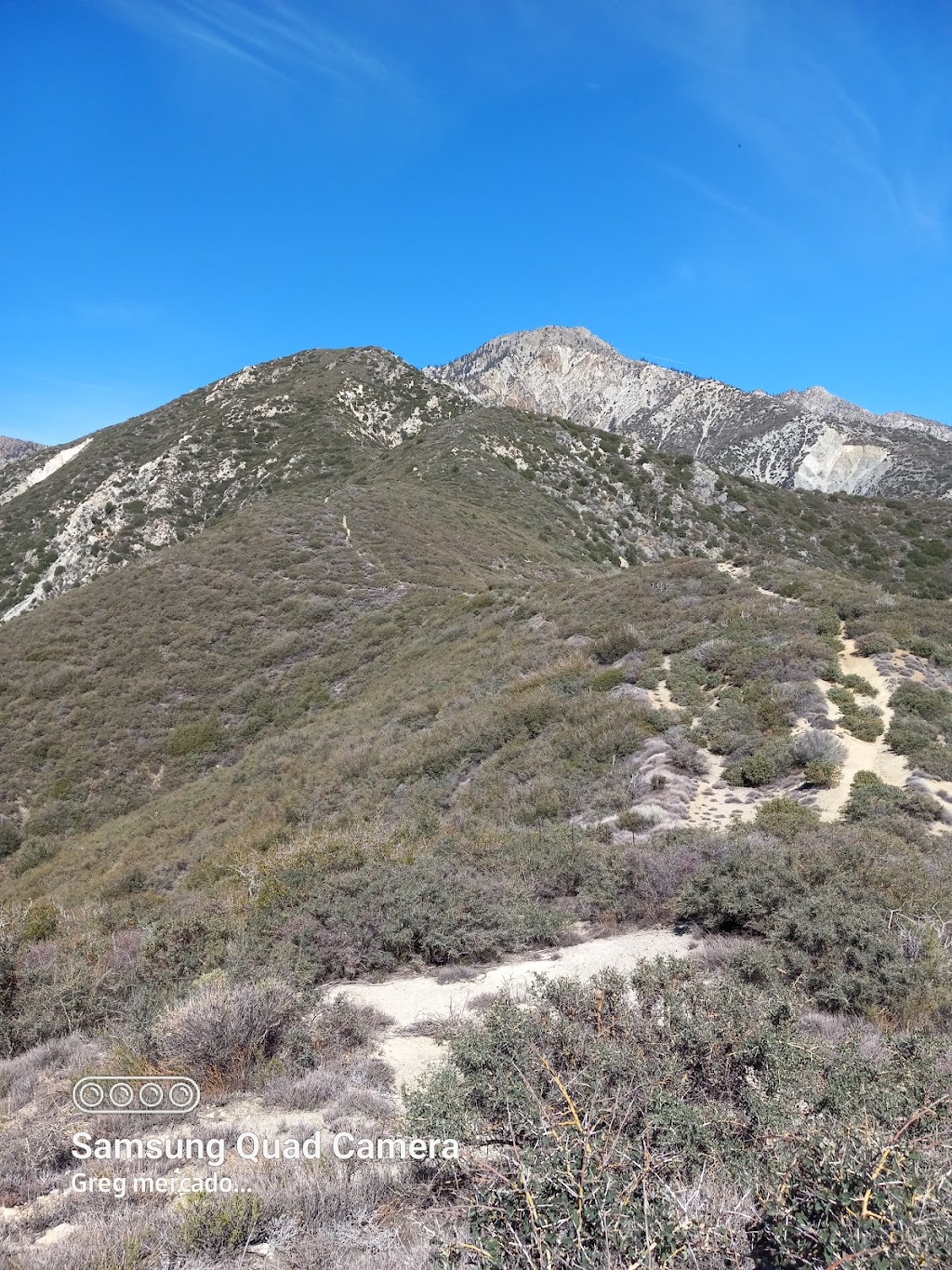 Cucamonga Wilderness | W Cucamonga Truck Trail, Lytle Creek, CA 92358, USA | Phone: (909) 382-2851