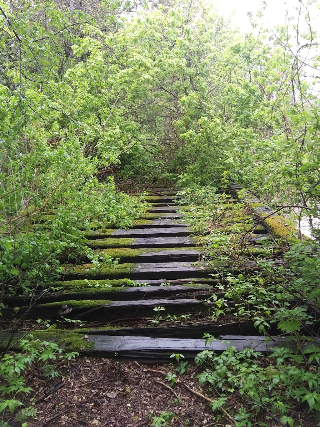 Kessler Railroad Prairie State Natural Area | Janesville, WI 53548, USA | Phone: (888) 936-7463