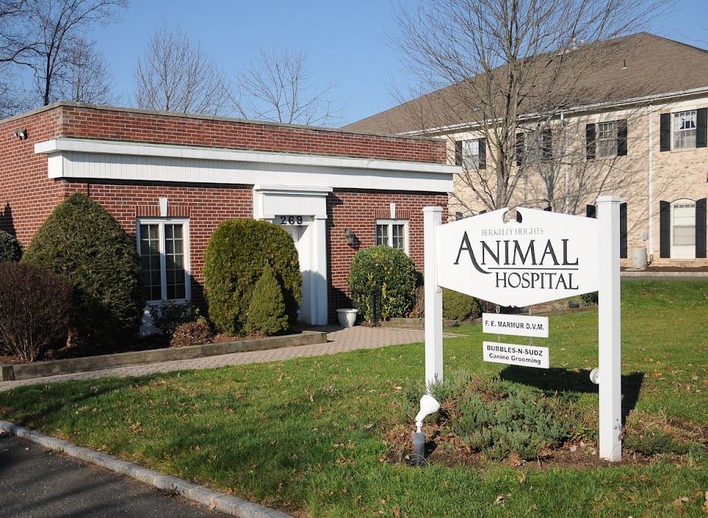 Berkeley Heights Animal Hospital | 269 Springfield Ave, Berkeley Heights, NJ 07922 | Phone: (908) 464-0023