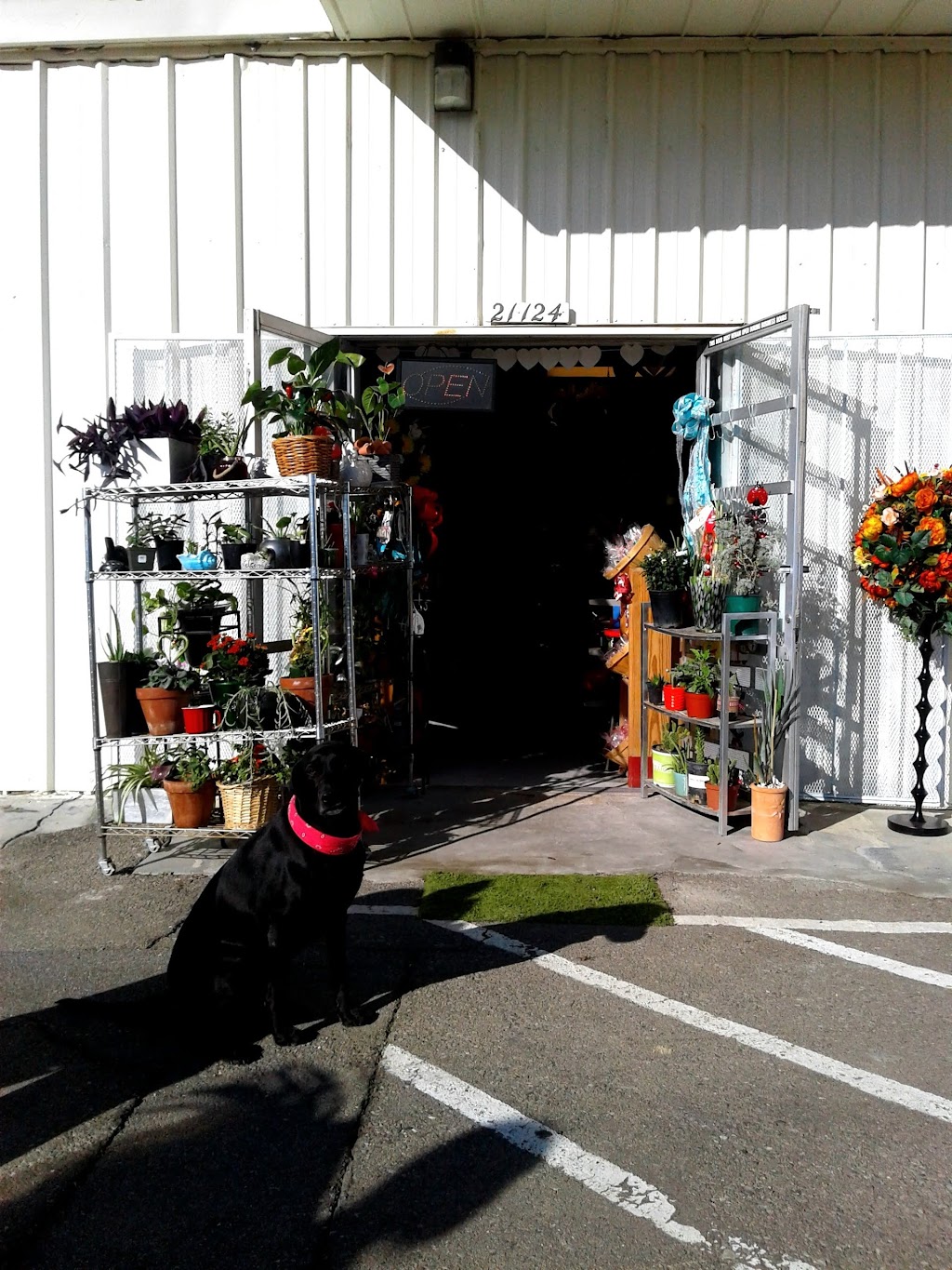 Giftven Flowers | 21124 CA-46 Suite C, Lost Hills, CA 93249, USA | Phone: (661) 240-8469
