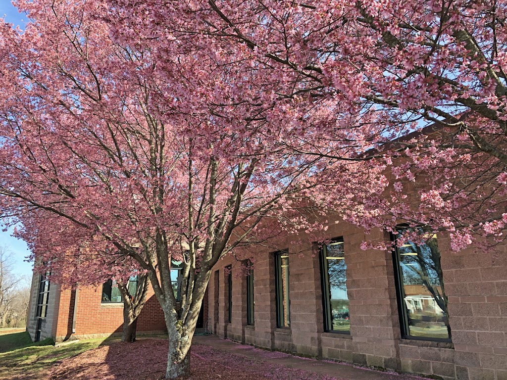 Walkertown Branch Library | 2969 Main St, Walkertown, NC 27051 | Phone: (336) 703-2990