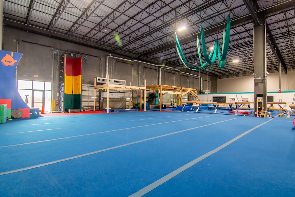 Jubilee Gymnastics, Dance, and Ninja Warrior | 353 30th St NE, Ruskin, FL 33570, USA | Phone: (813) 863-1168