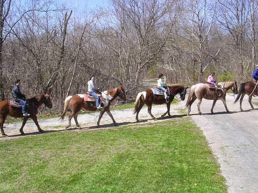 Guided Trail Rides LLC | 1418 IN-101, Liberty, IN 47353, USA | Phone: (765) 618-4835