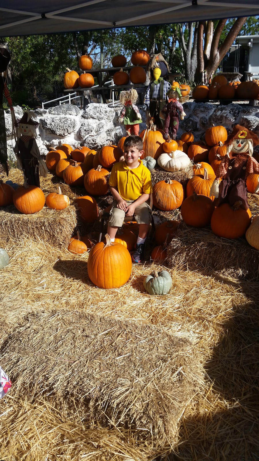 Burton Memorial United Methodist | 93001 Overseas Hwy, Tavernier, FL 33070, USA | Phone: (305) 852-2581