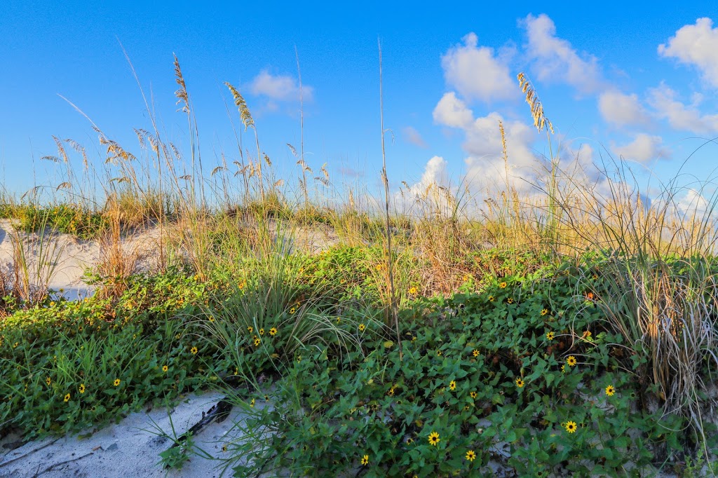 Barefoot Beach Club | 13220 Gulf Ln, Madeira Beach, FL 33708, USA | Phone: (727) 393-6133