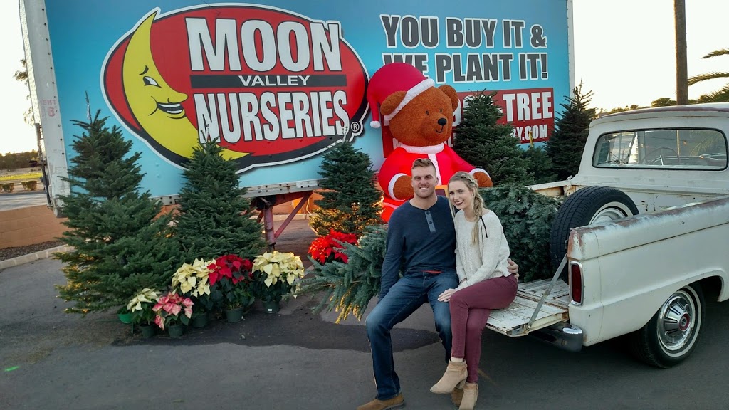 Moon Valley Nurseries Christmas Trees Glendale | 6400 W Bell Rd, Glendale, AZ 85308, USA | Phone: (858) 699-9996