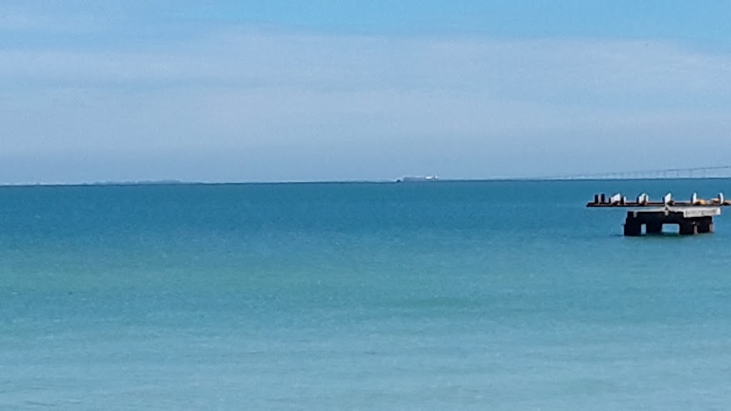 Island Fresh | 101 N Bay Blvd, Anna Maria, FL 34216, USA | Phone: (941) 779-0011