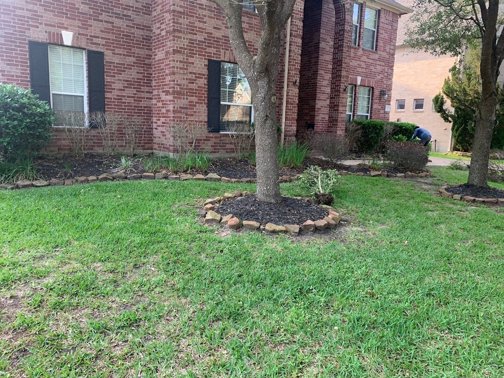 Tree g brothers, landscaping and tree services | 5233 W Farm to Market 1462, Rosharon, TX 77583, USA | Phone: (281) 995-3153