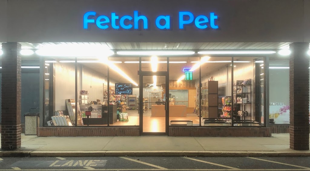 Fetch a Pet | 77 Derry Rd, Hudson, NH 03051, USA | Phone: (603) 417-6896
