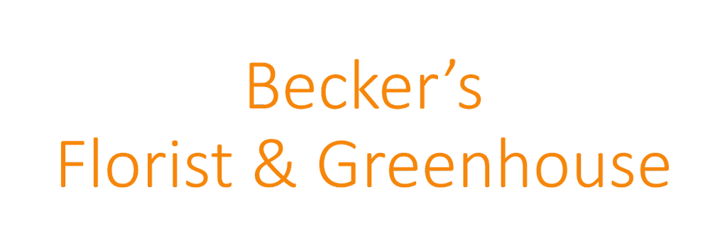 Beckers Florist & Greenhouse | 6 Mulberry St, Cambridge City, IN 47327, USA | Phone: (765) 478-3421