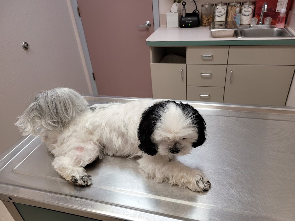 Southpaw Animal Health | 15421 N Dale Mabry Hwy, Tampa, FL 33618, USA | Phone: (813) 968-4025