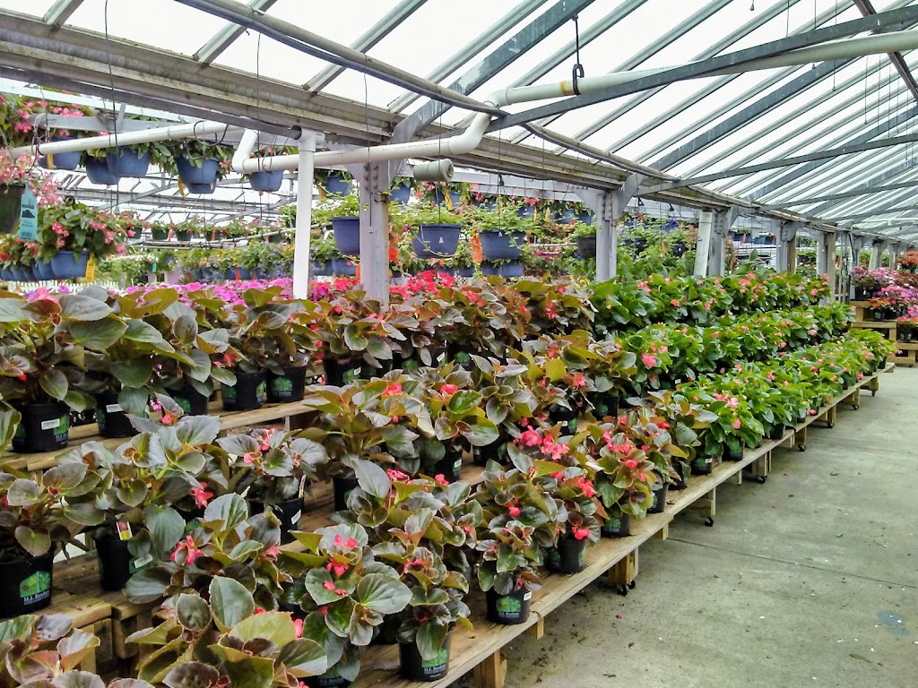 Benken Florist Home and Garden Center | 6000 Plainfield Rd, Cincinnati, OH 45213, USA | Phone: (513) 891-1040