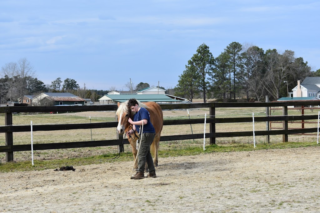 A Horse Connection - Equine Assisted Occupational Therapy | 4647 Massey Rd, Zebulon, NC 27597, USA | Phone: (845) 417-4646