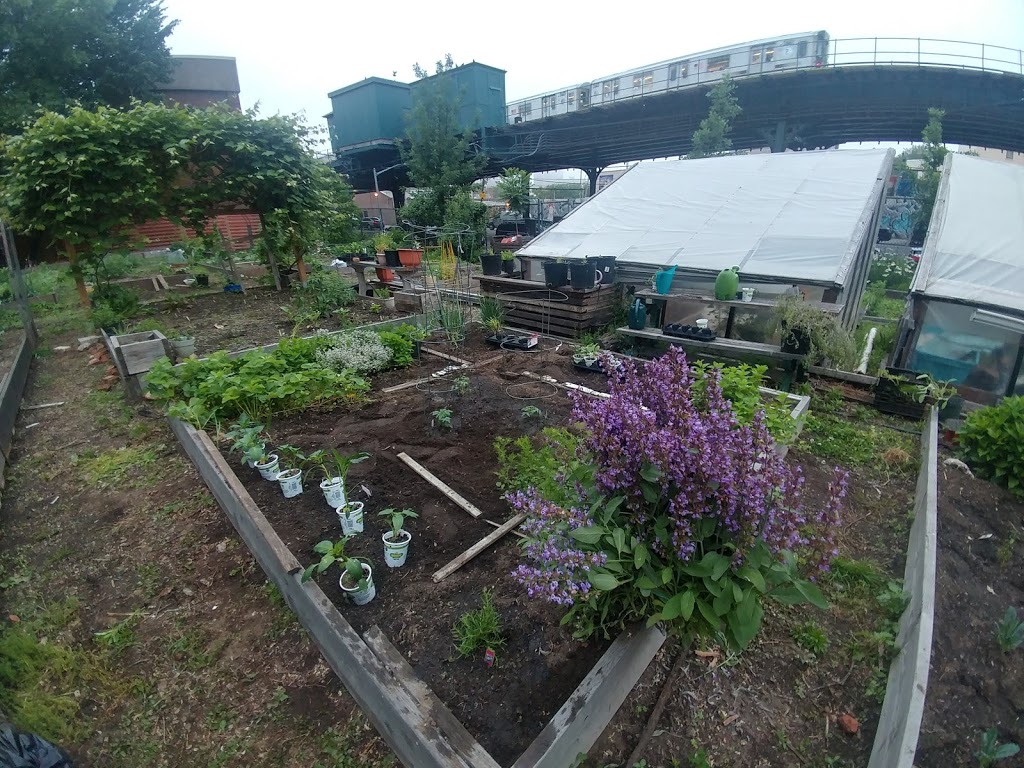 Eagle Slope Community Garden | 582 Westchester Ave, The Bronx, NY 10455, USA | Phone: (212) 639-9675