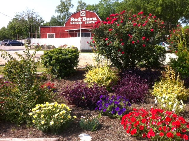 Red Barn Garden Center | 690 A N Bagdad Rd, Leander, TX 78641, USA | Phone: (512) 335-8093