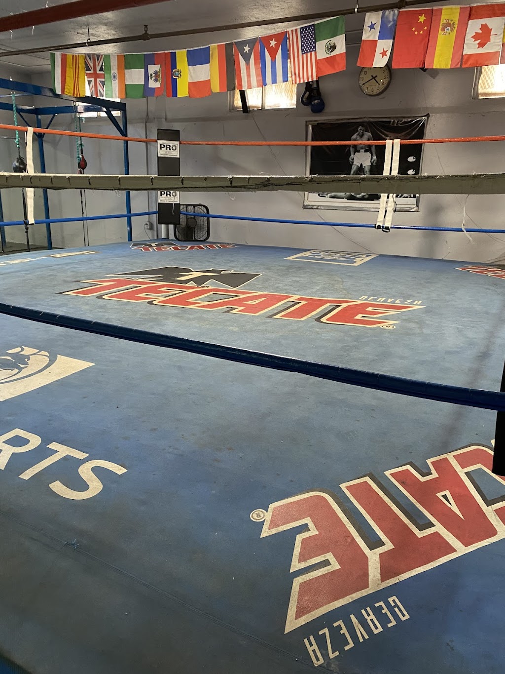 South L.A. Boxing Gym | 5139 S Main St, Los Angeles, CA 90037, USA | Phone: (323) 613-5366