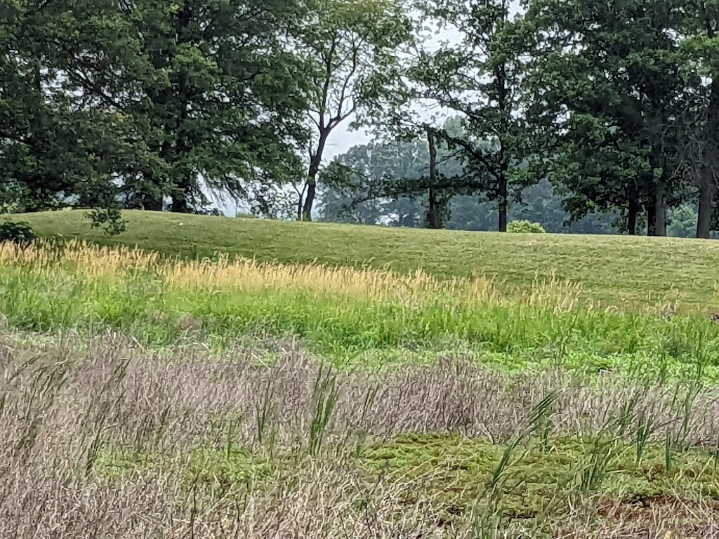 Loblolly Marsh Nature Preserve | 8001-8499 N 250 W, Bryant, IN 47326, USA | Phone: (260) 368-7428