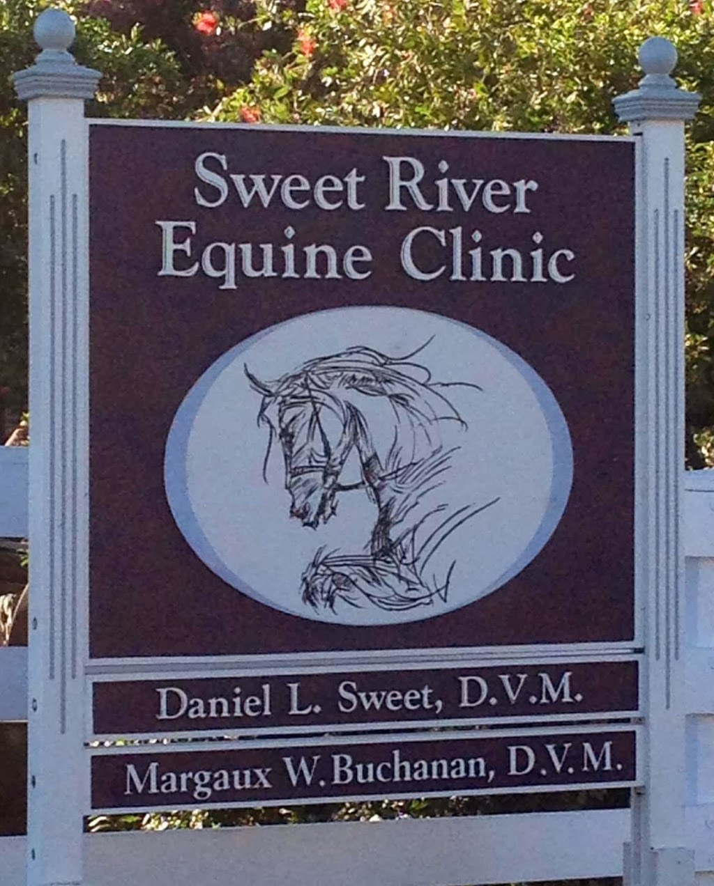 Sweet River Equine Clinic Inc | 200 Weyer Rd, Modesto, CA 95357, USA | Phone: (209) 524-9191