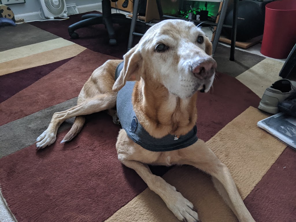 Behavioral House | 925 E McDowell Rd, Phoenix, AZ 85006, USA | Phone: (602) 839-6800