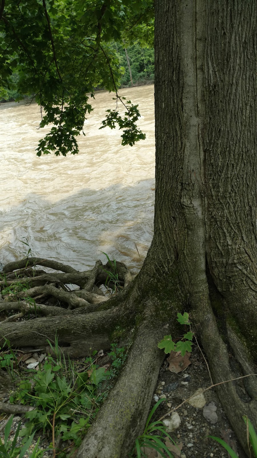 Nature Trails Park | 220 E Davis St, Tiffin, OH 44883, USA | Phone: (419) 448-5417