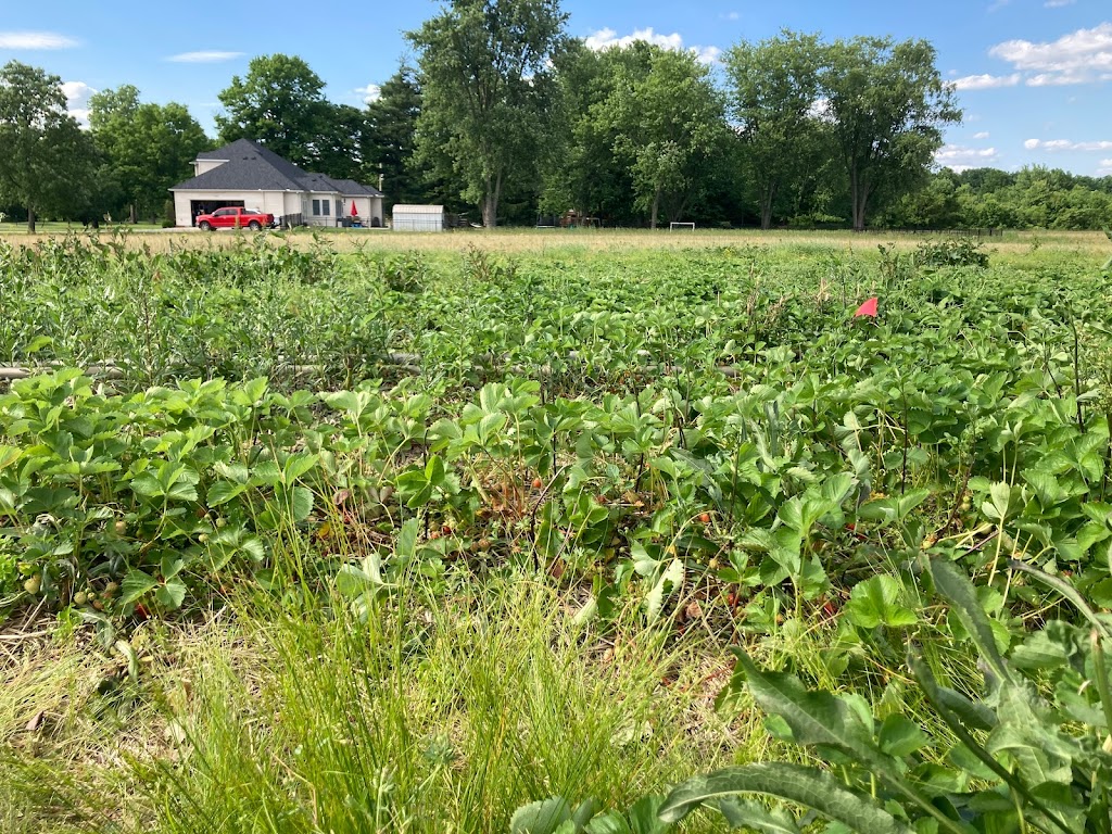Dorans Farm Market | 5462 Babbitt Rd, New Albany, OH 43054, USA | Phone: (614) 855-3885