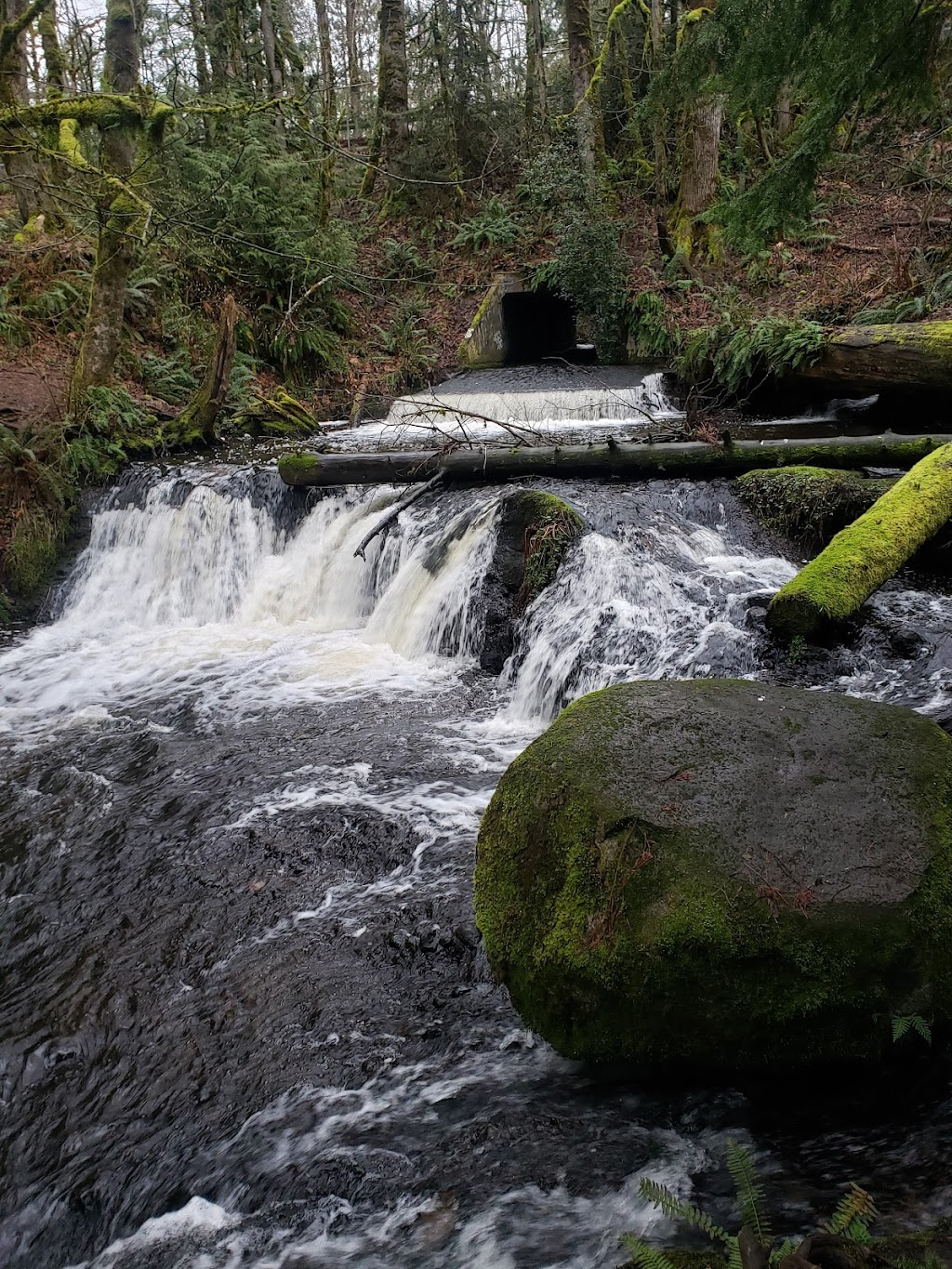 Victor Falls City Park | 18212 Rhodes Lake Rd E, Bonney Lake, WA 98391, USA | Phone: (253) 862-8602