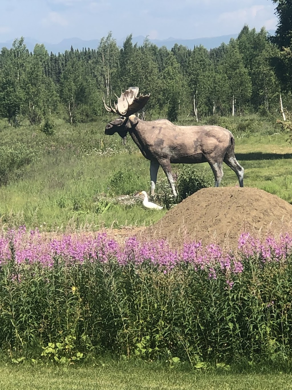 Alaskan Host Bed & Breakfast Lodging | 27803 Old Parks Hwy, Willow, AK 99674, USA | Phone: (907) 495-9000