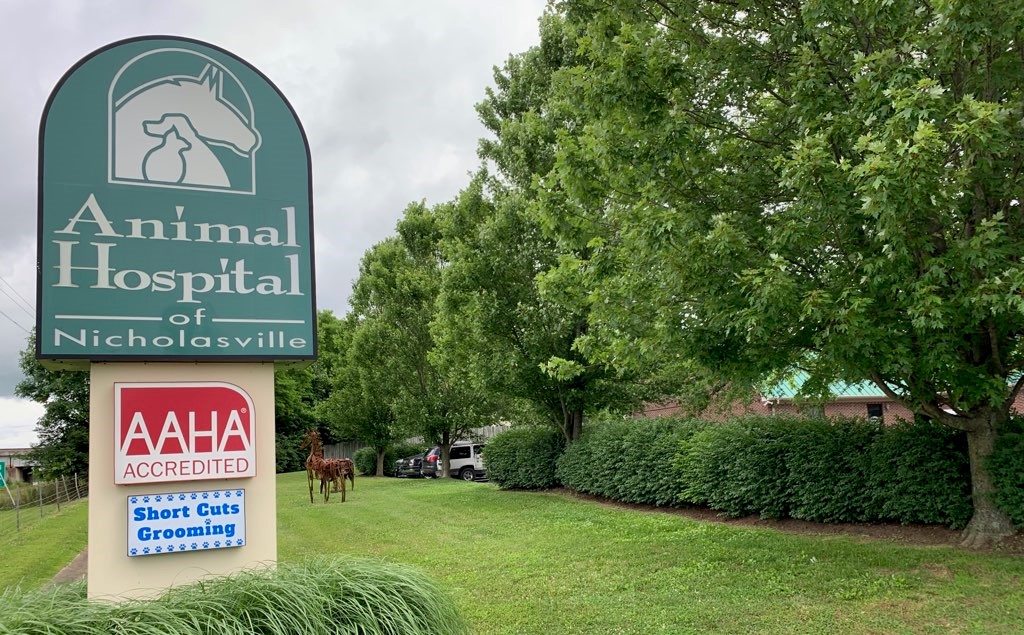 Animal Hospital of Nicholasville | 10 Wichita Dr, Nicholasville, KY 40356, USA | Phone: (859) 887-8086