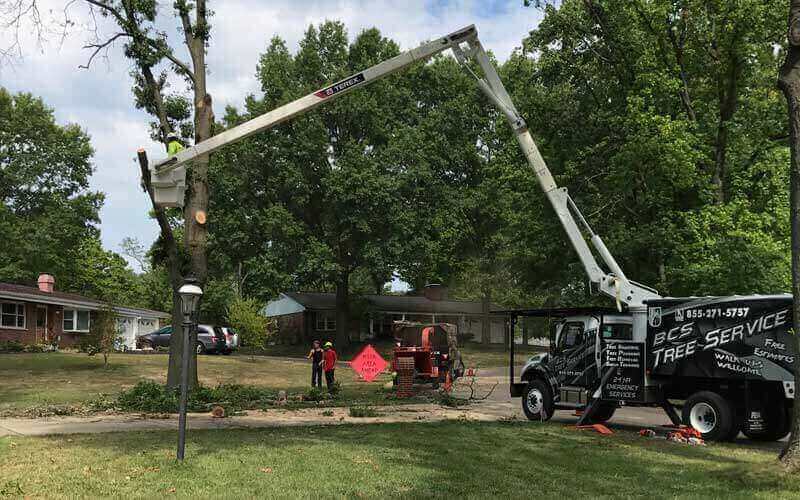 BCS Tree Service | 3752 Marquis Dr, Garland, TX 75042, USA | Phone: (469) 457-8072