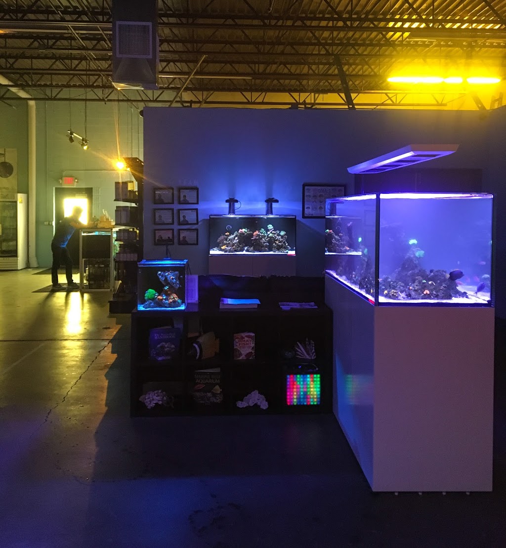Reef Collective | 1459 1st Ave NW, New Brighton, MN 55112, USA | Phone: (612) 326-0557