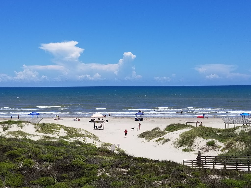 Padre Island National Seashore | 20301 Park Rd 22, Corpus Christi, TX 78418, USA | Phone: (361) 949-8069