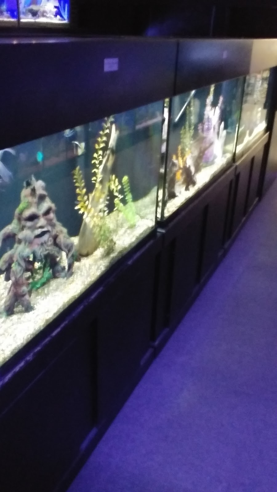 Kees Aquarium & Pets | 8190 23 Mile Rd, Shelby Township, MI 48316 | Phone: (586) 739-9140