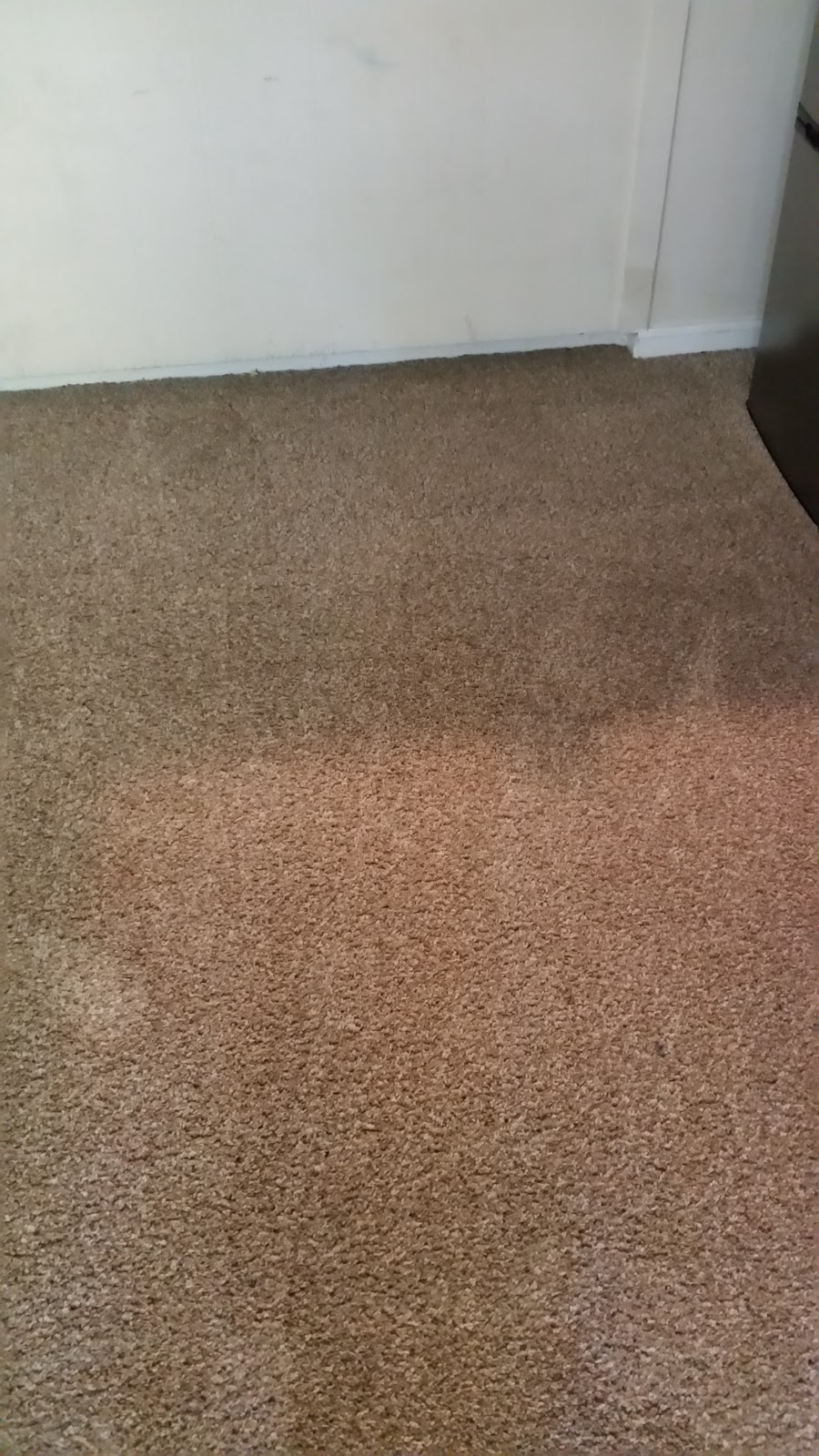 Carpet Cleaning by Torres Cleaners | 46 N 25th St, San Jose, CA 95116, USA | Phone: (408) 786-4664