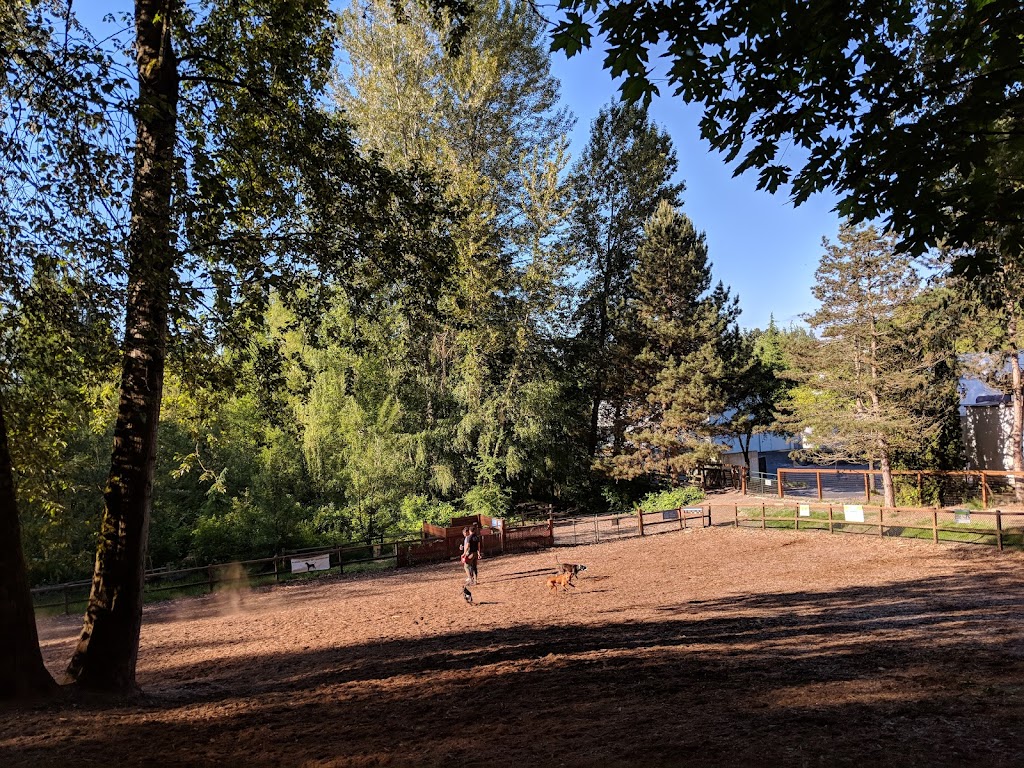 Jaspers Dog Park | 11225 NE 120th St, Kirkland, WA 98034, USA | Phone: (425) 587-3300