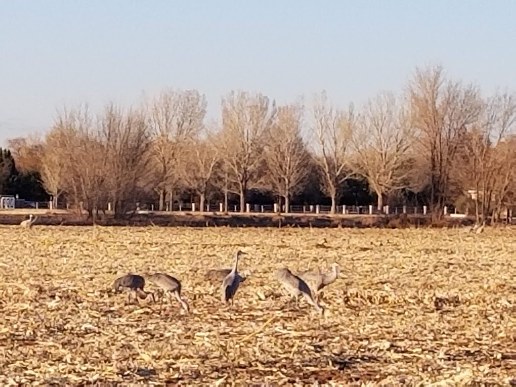 Los Poblanos Fields Open Space | 6000-6018 Los Poblanos Field Trails, Albuquerque, NM 87107, USA | Phone: (505) 768-4200