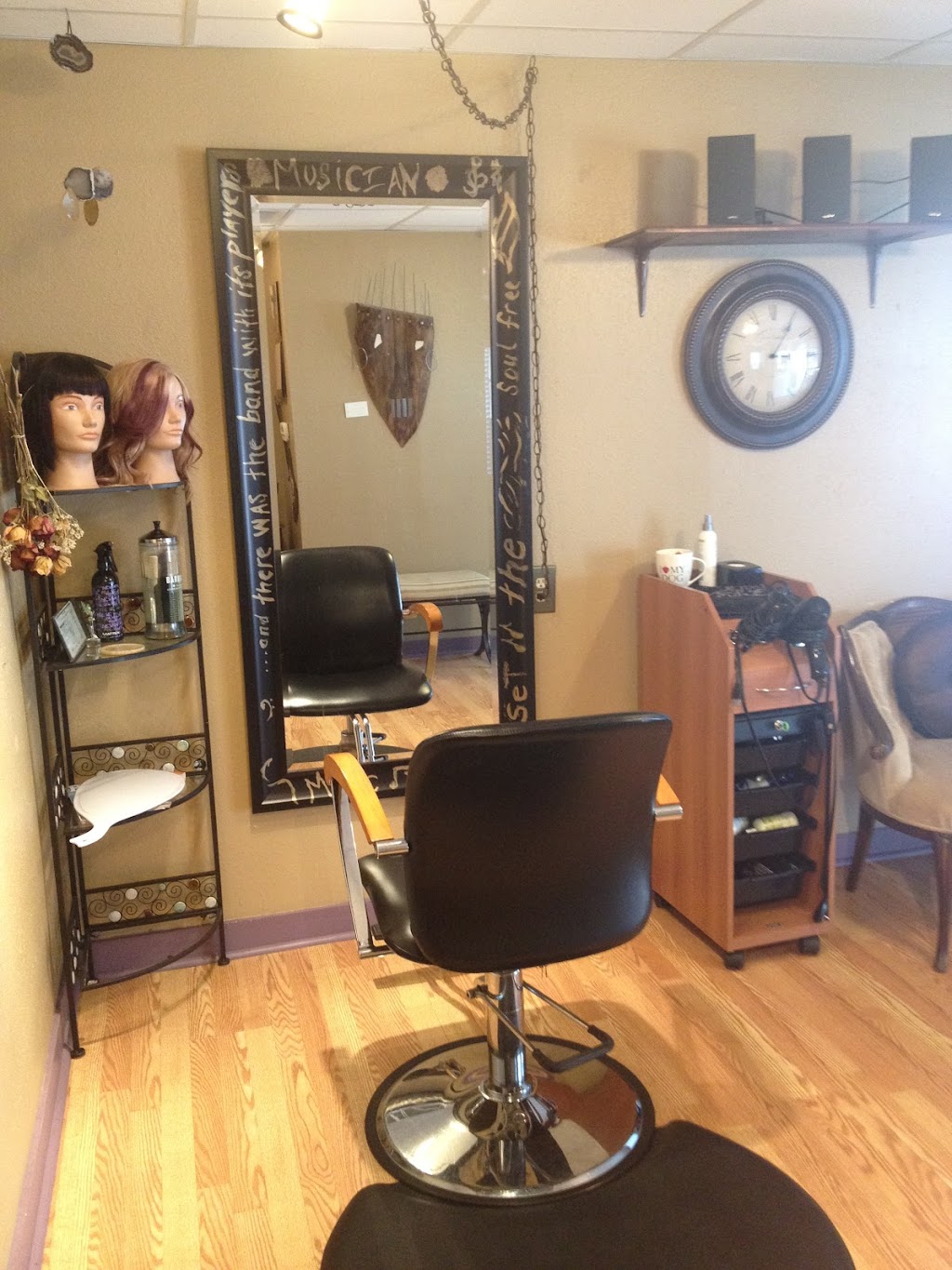 Splash of Color Hair Studio | 1014 Ohio Ave, Palm Harbor, FL 34683, USA | Phone: (727) 420-4127