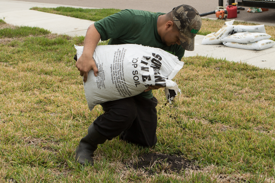 Bee Green Pest Control | 8635 US-301, Riverview, FL 33578, USA | Phone: (813) 661-9300