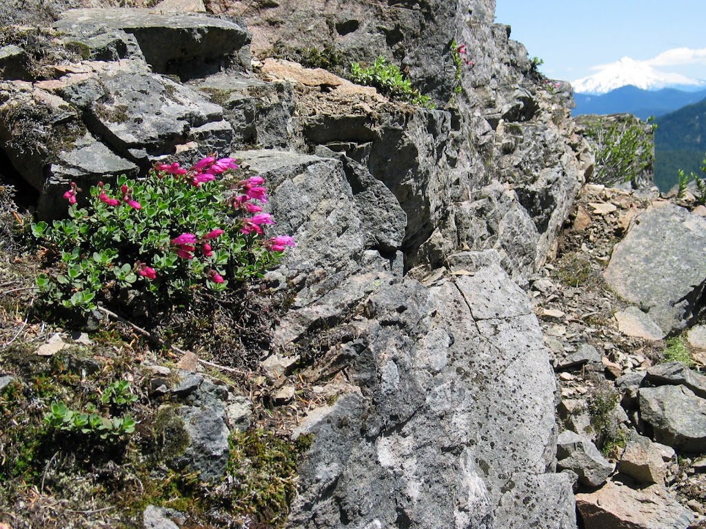 Table Rock Wilderness | Table Rock Wilderness, Molalla, OR 97038, USA | Phone: (503) 375-5646