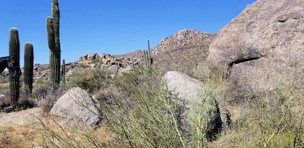 Cave Creek Outfitters | 31313 N 144th St, Scottsdale, AZ 85262, USA | Phone: (480) 471-4635