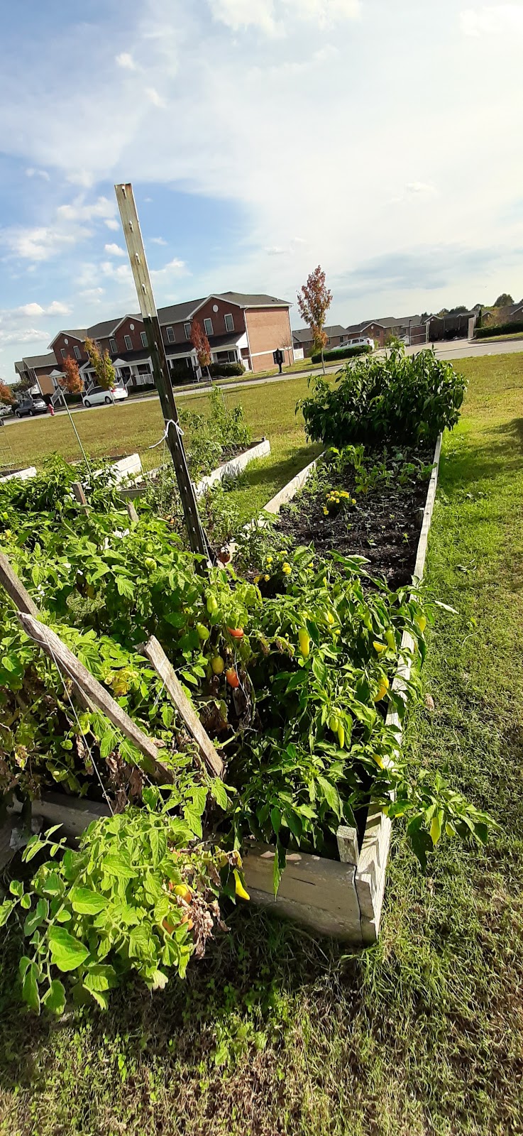 Asbury Seminary Community Garden | Kinghorn Dr, Wilmore, KY 40390, USA | Phone: (859) 858-3581